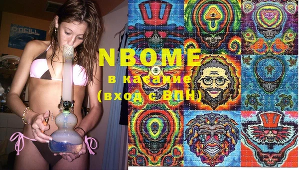 стаф Волосово