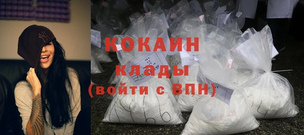 apvp Бородино