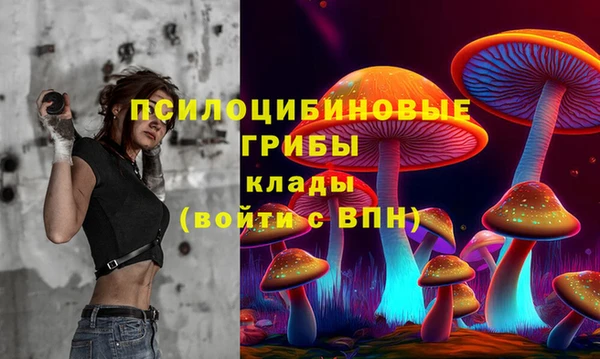 MDMA Premium VHQ Бронницы