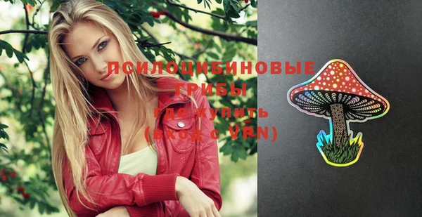 ГАЛЛЮЦИНОГЕННЫЕ ГРИБЫ Володарск