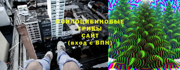 ГАЛЛЮЦИНОГЕННЫЕ ГРИБЫ Володарск