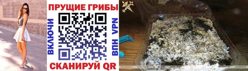 darknet формула  Сретенск  Галлюциногенные грибы MAGIC MUSHROOMS 